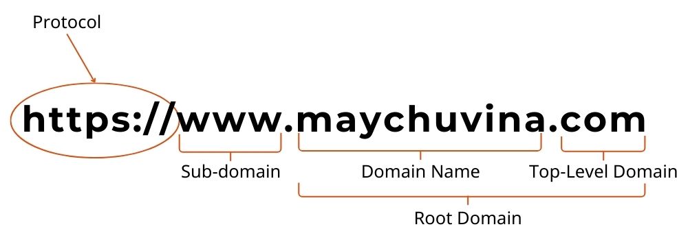 Thành phần của domain